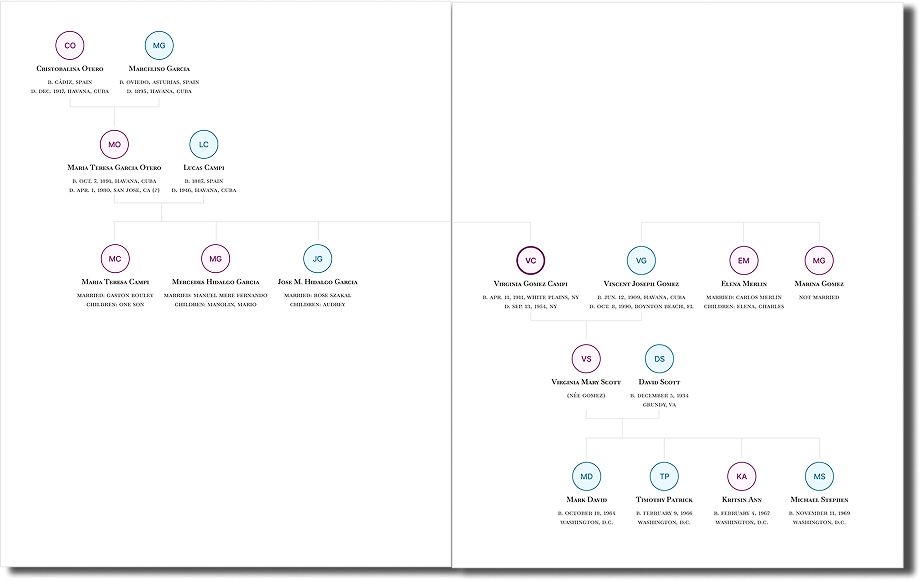 Polished family tree with clear relationships