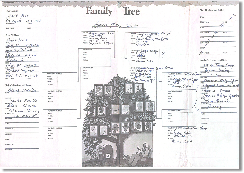 Handwritten family tree before design